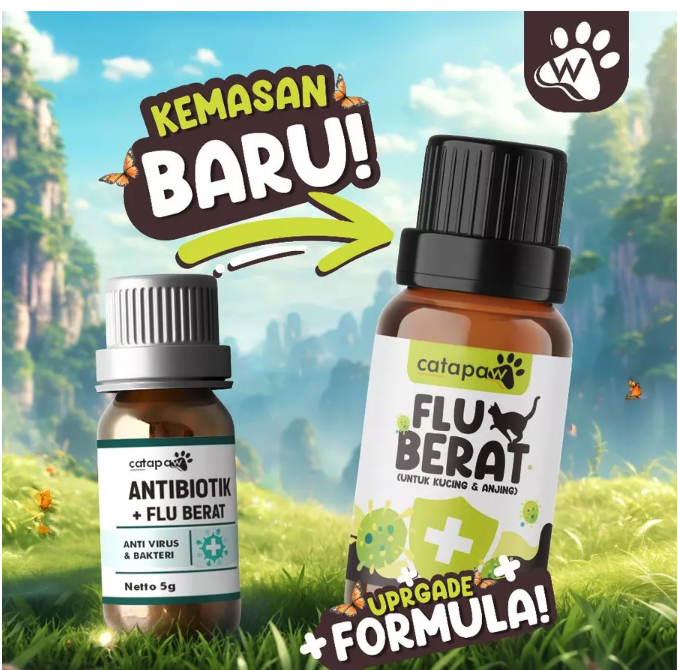  Catapaw Flu Berat untuk Kucing & Anjing
