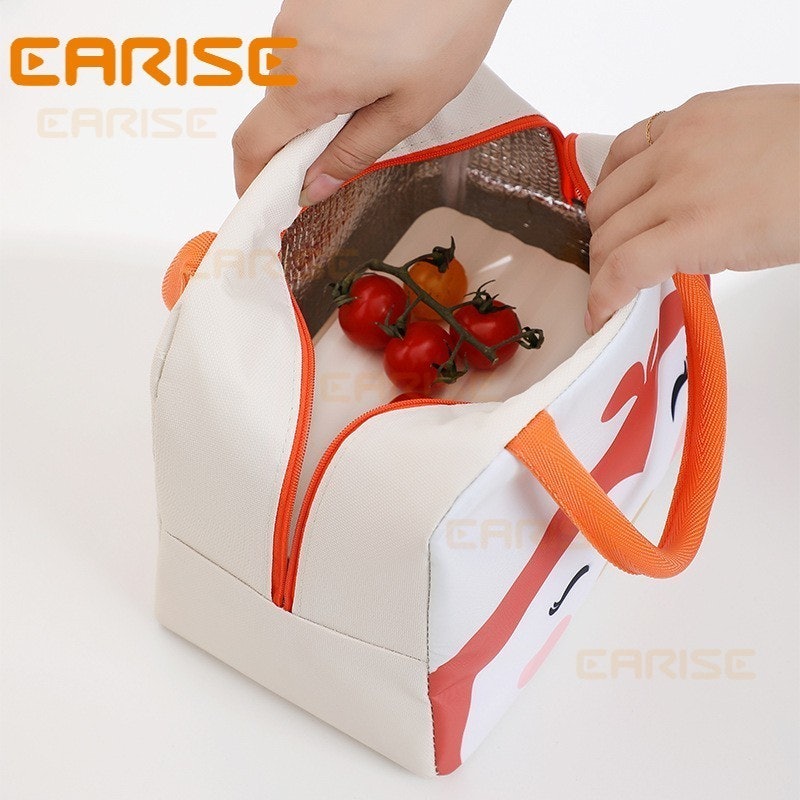 Earise Lunch Bag 4