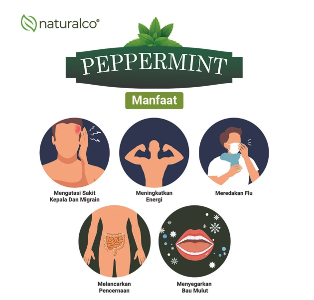 Naturalco Agroniaga Nusantara Naturalco Peppermint