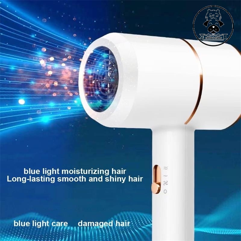 ChongChong Pet Hair Dryer
