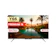 Skyworth Indonesia COOCAA 4K Google TV 1