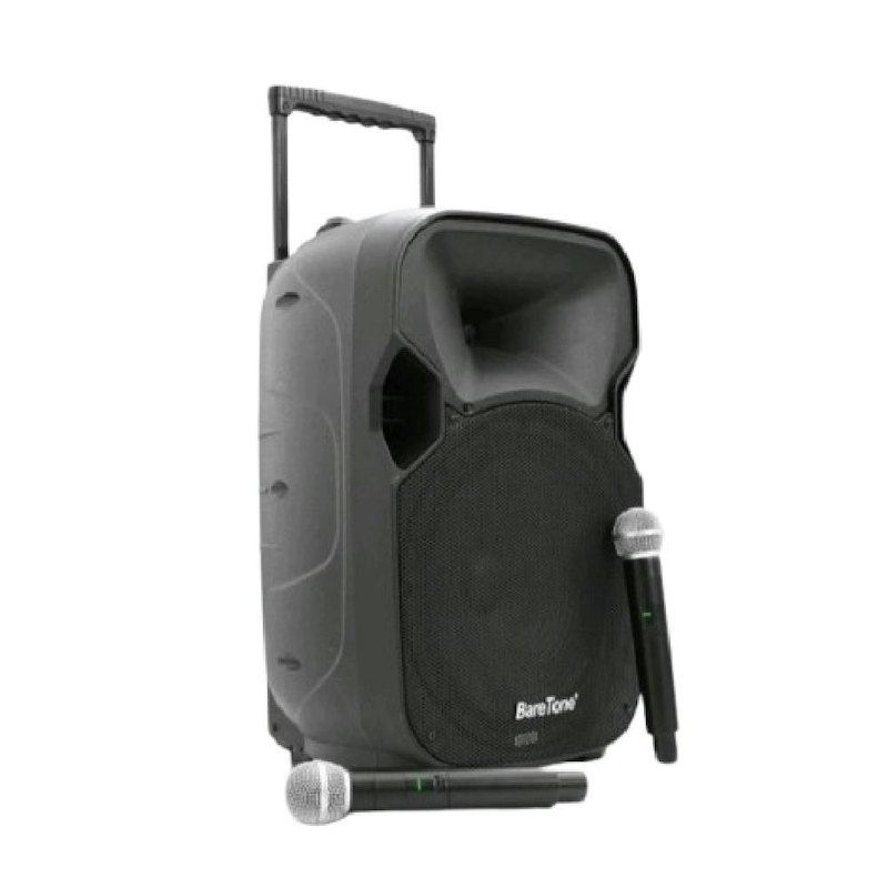BareTone Audio Portable Speaker 1
