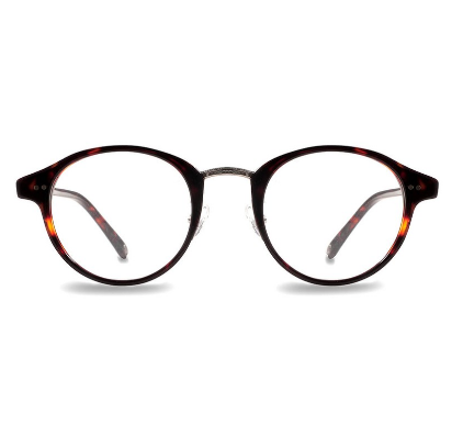 Frame Glades Dark Brown Tortoise ｜ F BI GQ V GLADS 3 48
