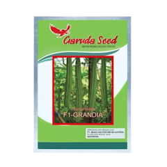 Garuda Seed Oyong Hibrida F1 GRANDIA
