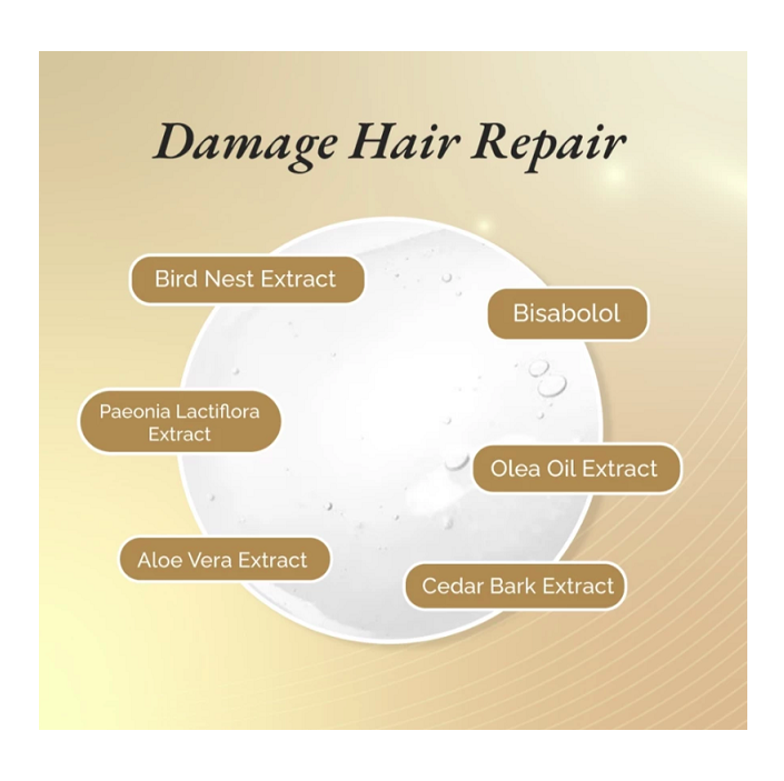 Singapore Maoshengwei O'Sweet Singapore Coco Intensive Repair Shampoo