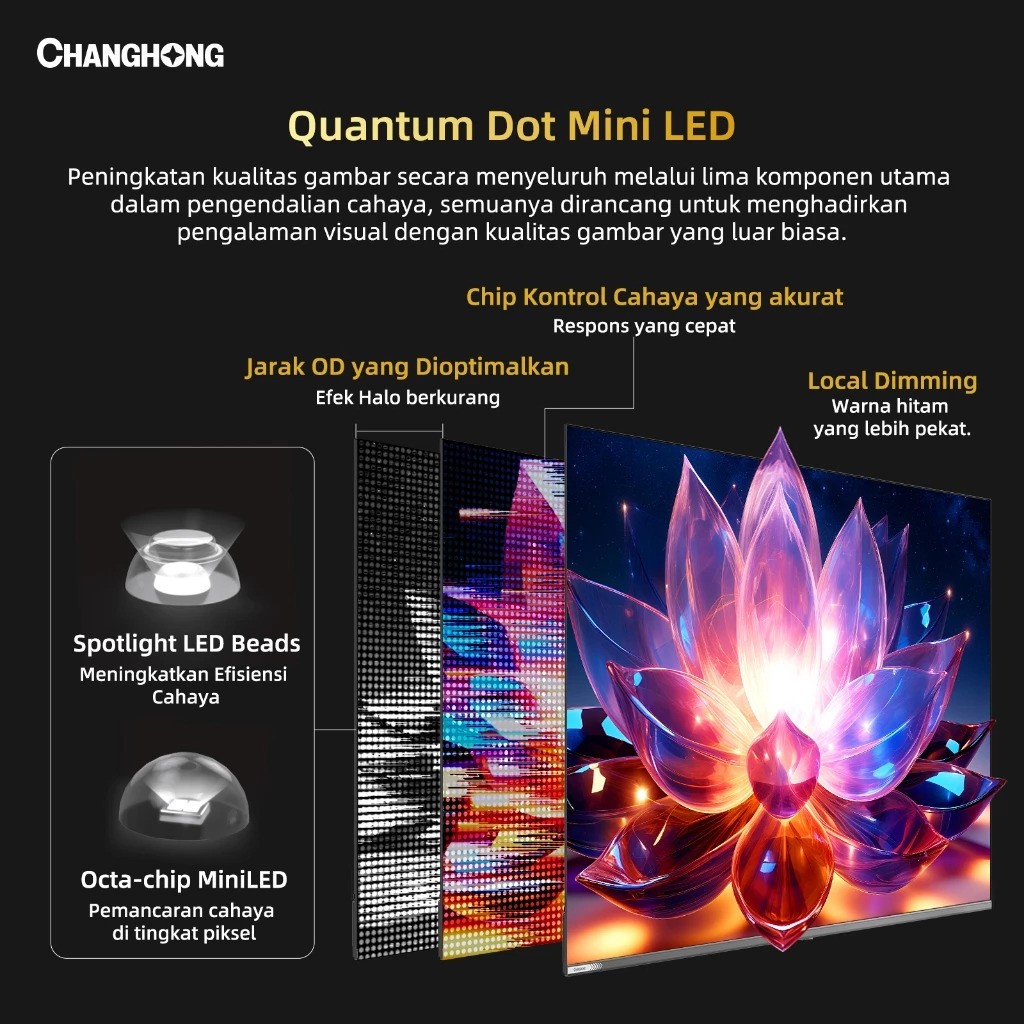 Changhong QD Mini LED TV M65QN9S1
