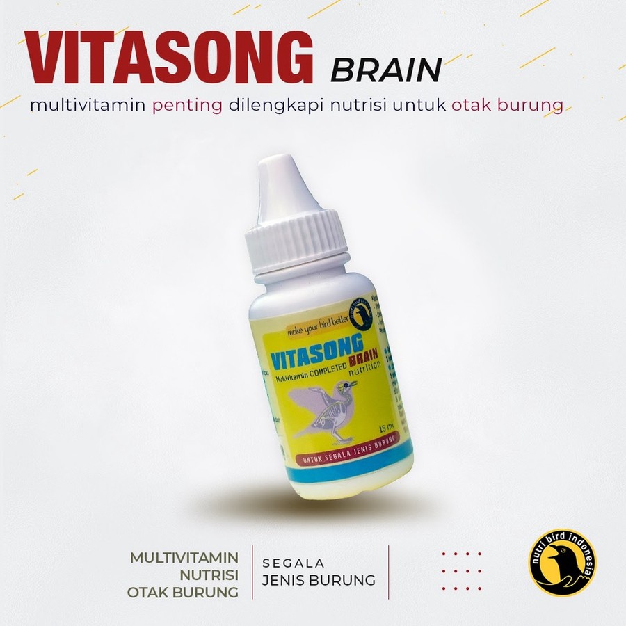 Vitasong Brain 2
