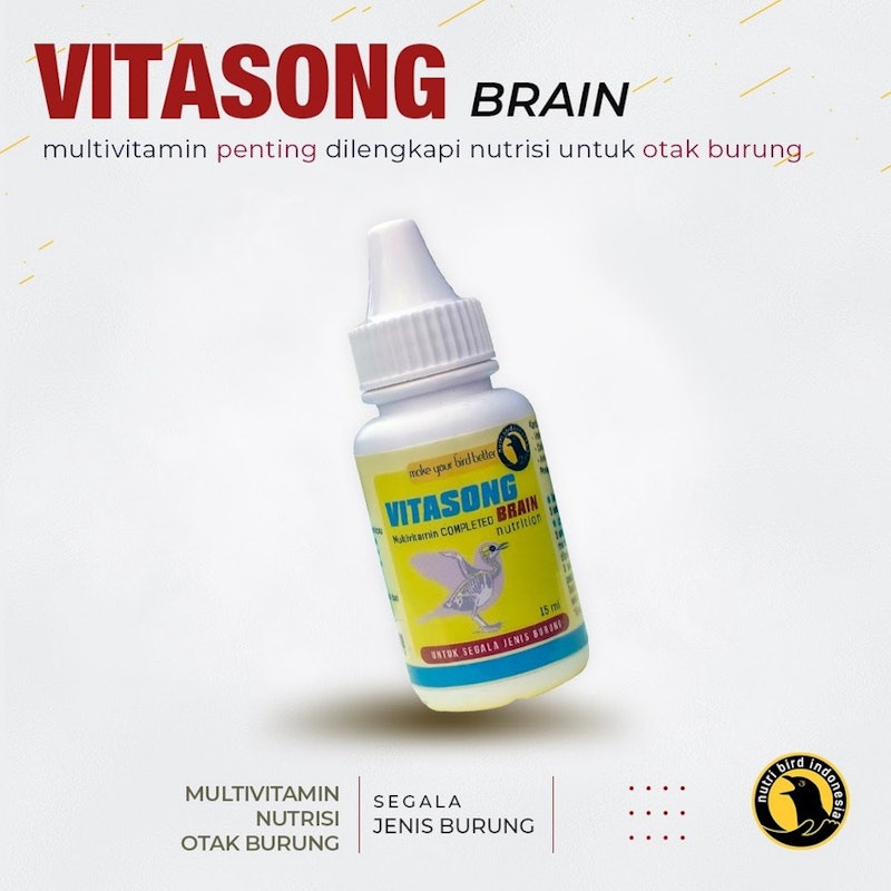 Vitasong Brain 2