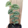 Monstera dubia 1