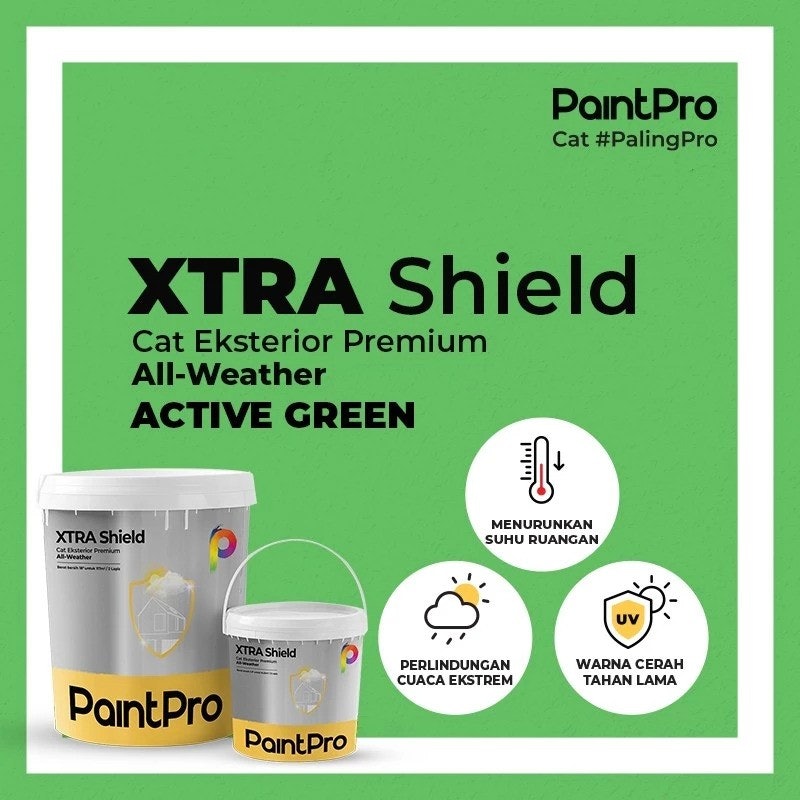 PaintPro XTRA Shield