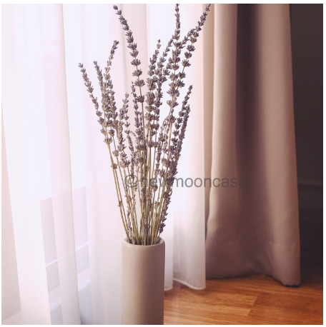 Bunga Kering Rustic Vintage Preserved Lavender 2