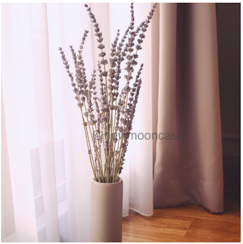 Bunga Kering Rustic Vintage Preserved Lavender 2