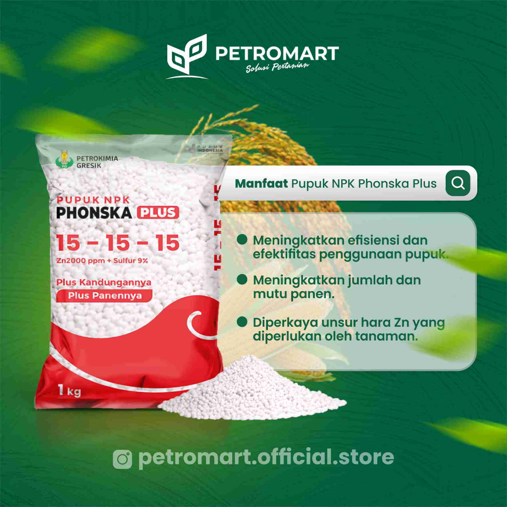Petrokimia Gresik Pupuk NPK Phonska Plus 15-15-15