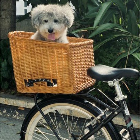 Keranjang Belakang Sepeda Rotan