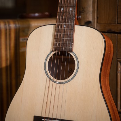 Accoustic Electric AD-Mini E-OP 3