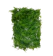 null Santosa Florist Rumput Pakis 1