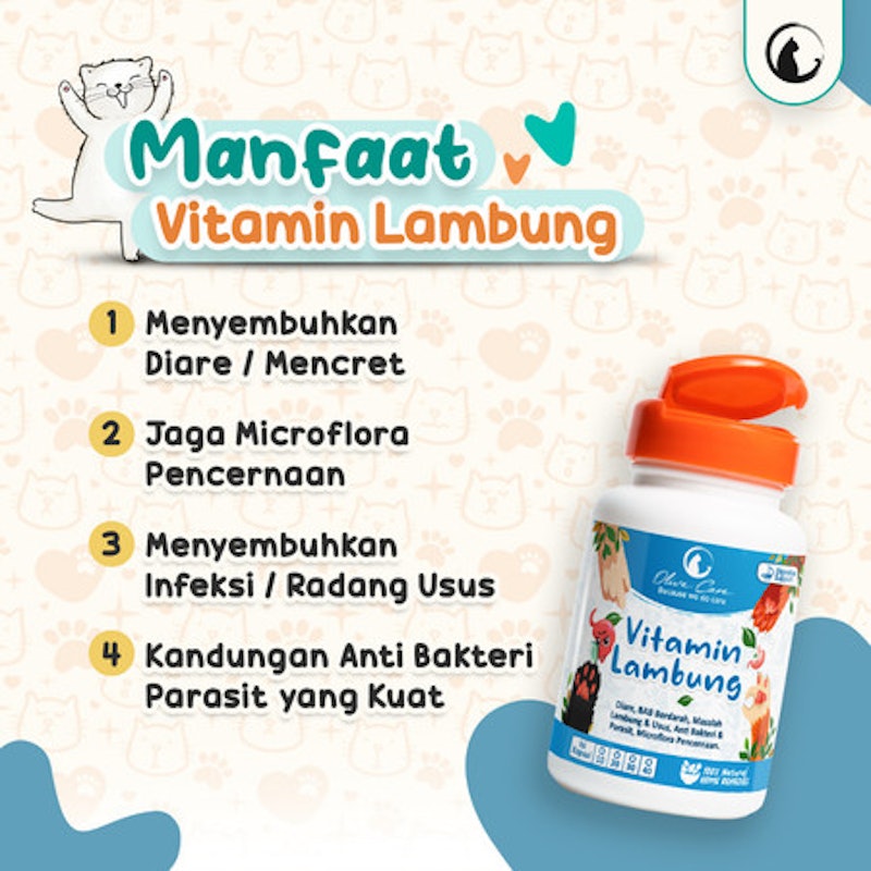 Olive Care Vitamin Lambung 2