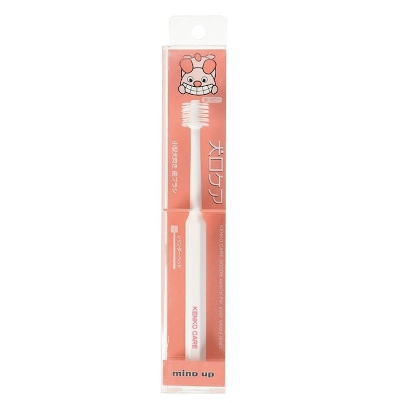 Cylinder Toothbrush 1