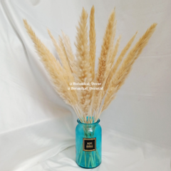 Dried Pampas Natural