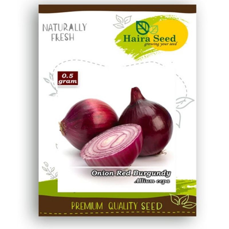 Haira Seed Onion Red Burgundy