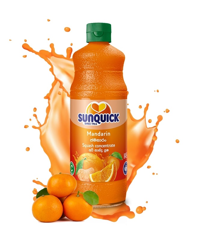 Mandarin Squash Concentrate 2
