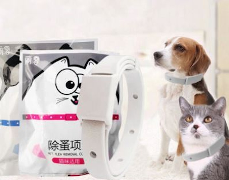 Pet Flea Removal Collar Dog