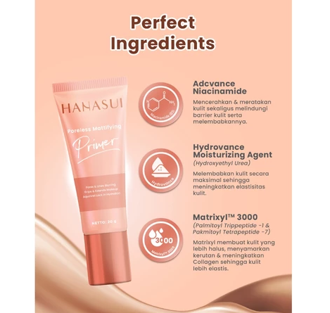 Eka Jaya Internasional Hanasui Poreless Mattifying Primer