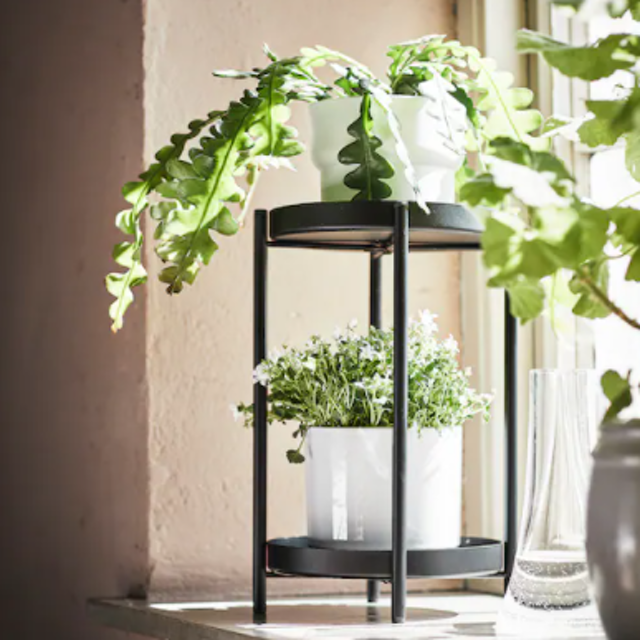 IKEA OLIVBLAD, Stand Tanaman 35 Cm