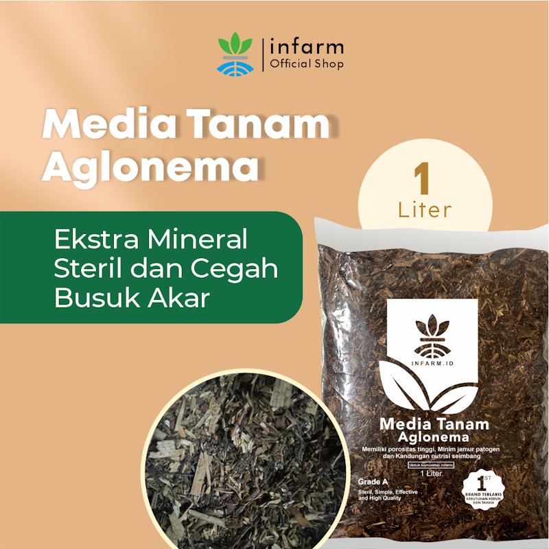 INFARM Media Tanam Aglonema 2