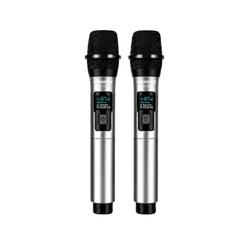 RAYHAYES Mic Wireless 1