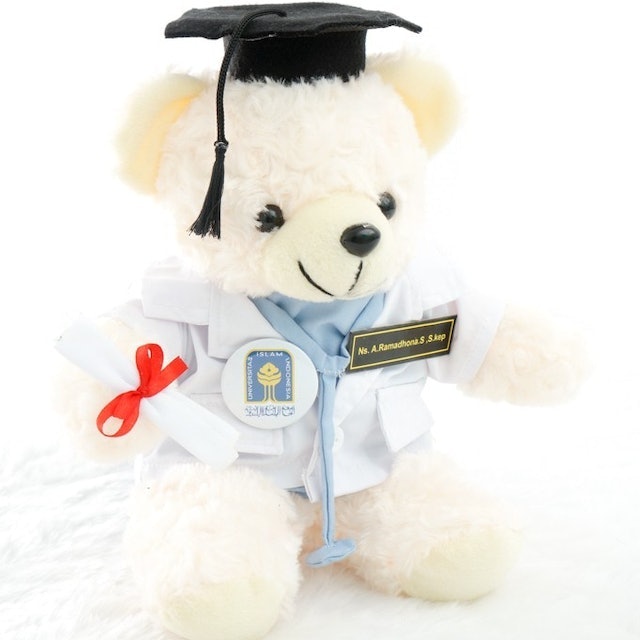 Boneka Profesi Wisuda Dokter Bear Cream 1
