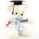 Boneka Profesi Wisuda Dokter Bear Cream 1