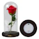 TaffHOME Bunga Mawar Lampu LED 1