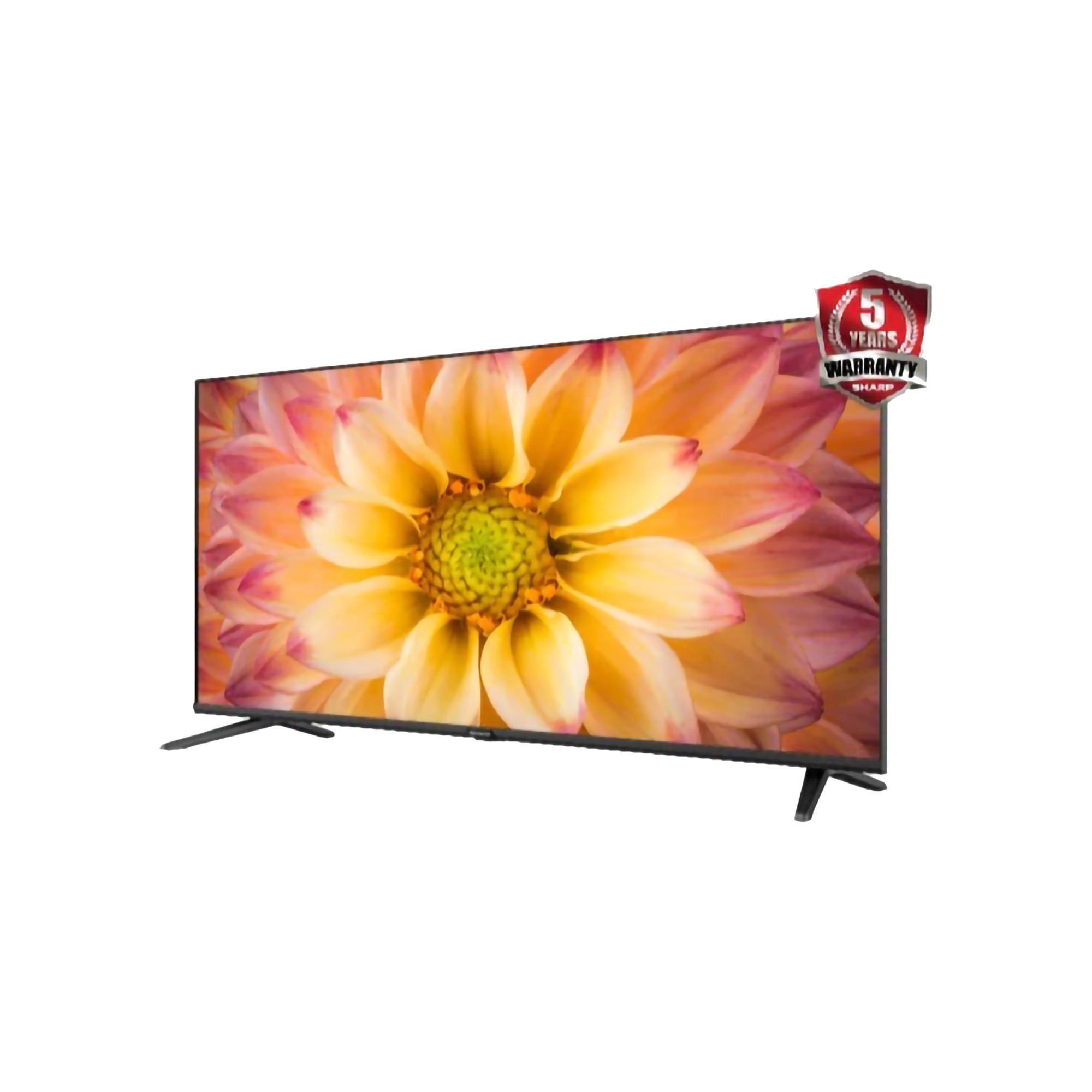 SHARP Electronics SHARP 2K Google TV 43 inch 2T-C43GH3000i