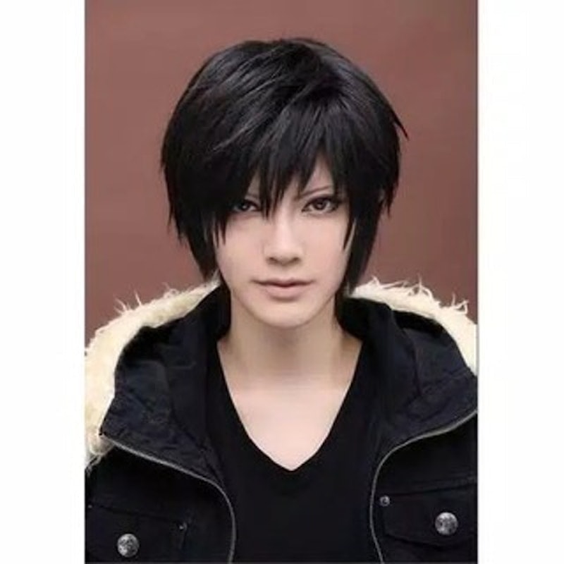 Short Black Man Full Wig 1