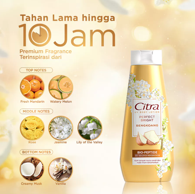 Unilever Indonesia Citra UV Body Lotion Perfect Bright Bengkoang
