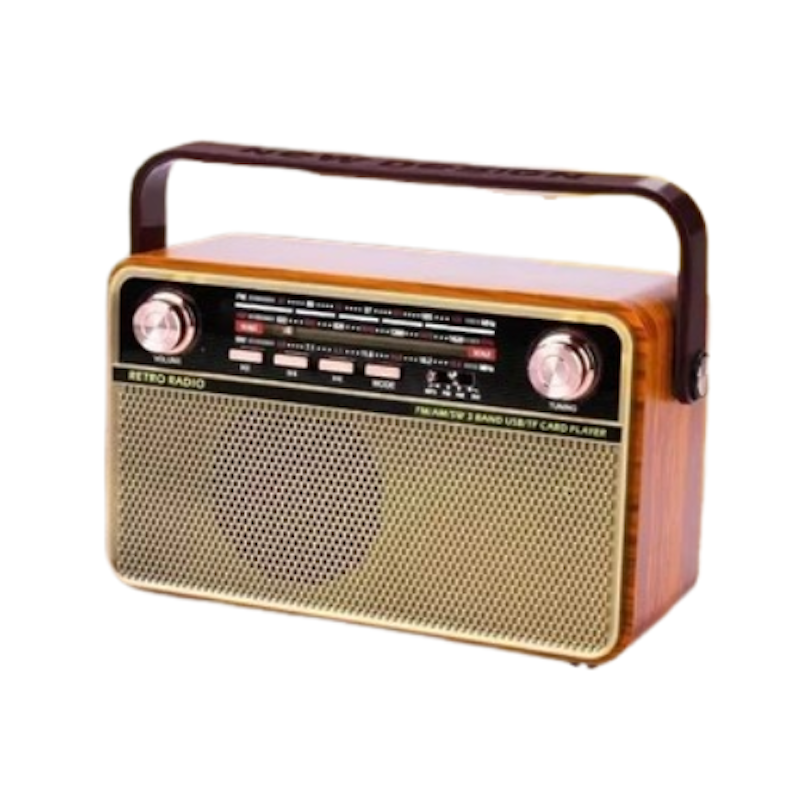 Fleco Radio Digital Portable 1