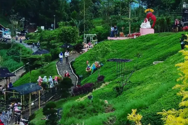 Wisata Taman Kelinci 1