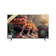 Skyworth Coocaa 43" 2K LED Smart TV 1