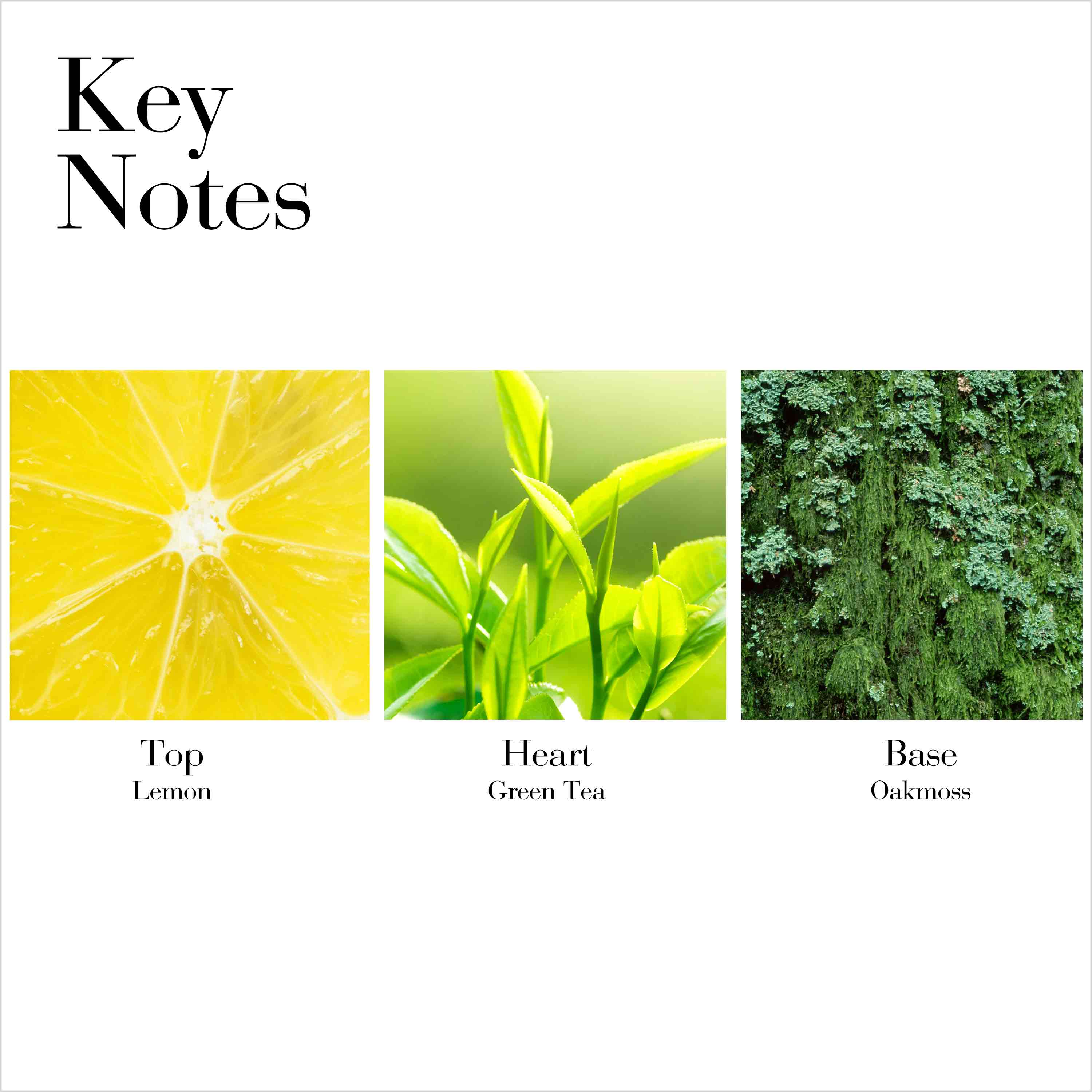 Green Tea Scent Spray 2
