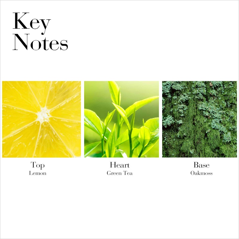 Green Tea Scent Spray 2