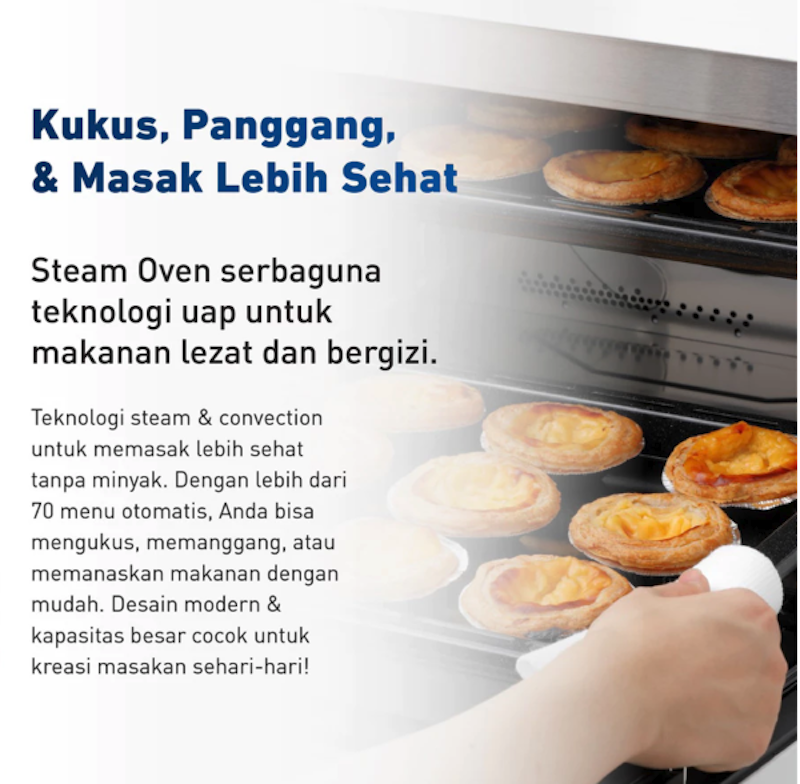 Convection Steam Cubie Oven 2