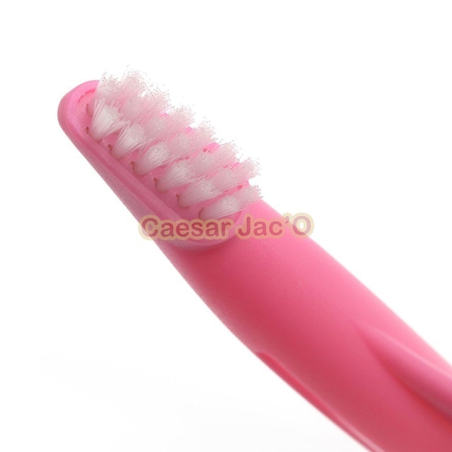  Sikat Gigi Hewan Anjing Kucing Kelinci