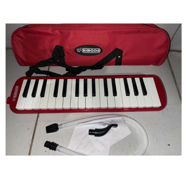 Pro Speed Pianika 4