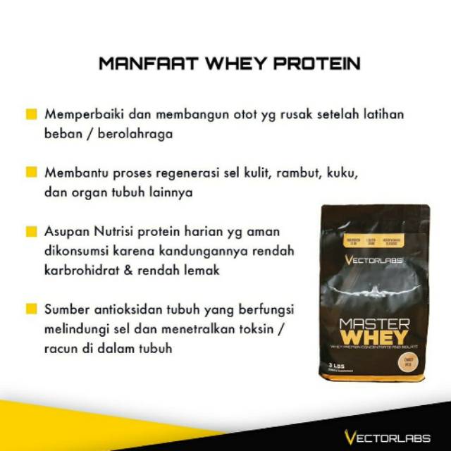 Vectorlabs  Master Whey Choco Amaretto