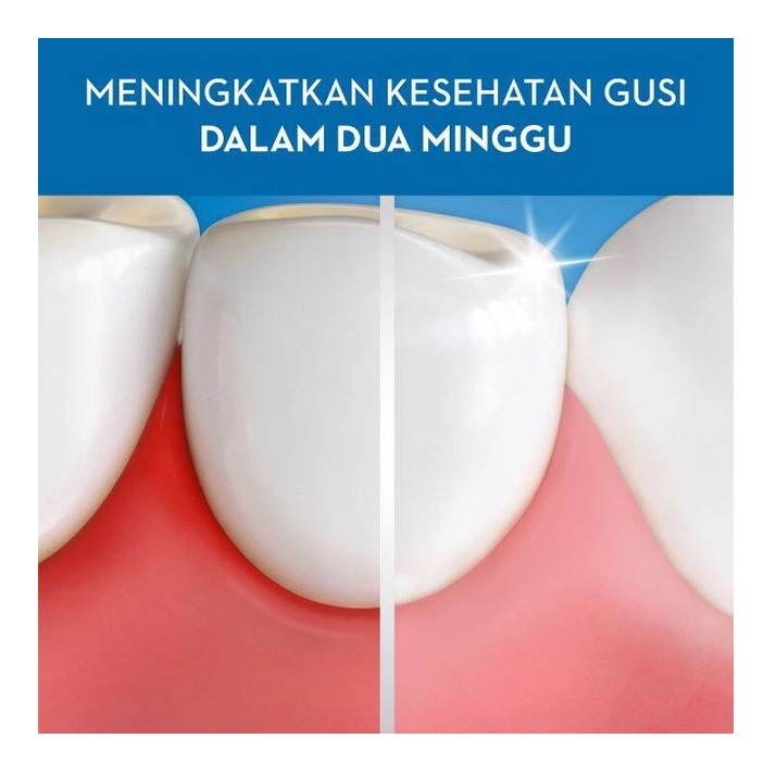 Sikat Gigi Ultra Thin Pro Gum Care 4
