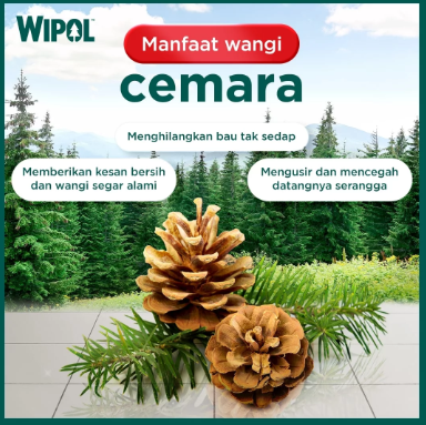 Wipol Karbol Cemara