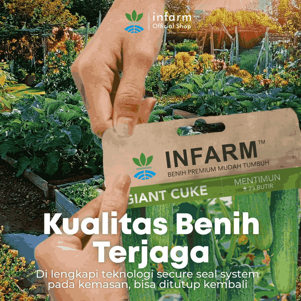 INFARM Benih Mentimum Mid Cuke 4