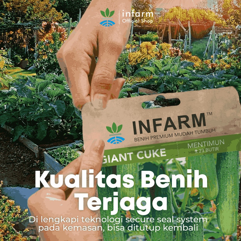 INFARM Benih Mentimum Mid Cuke 4