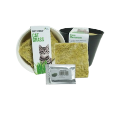 Purie Garden Paket Lengkap Rumput Kucing
